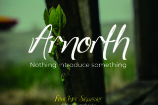 Arnorhth: A Display Font for Expressive, High-Impact Design